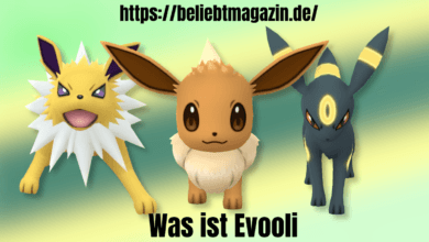Was ist Evooli