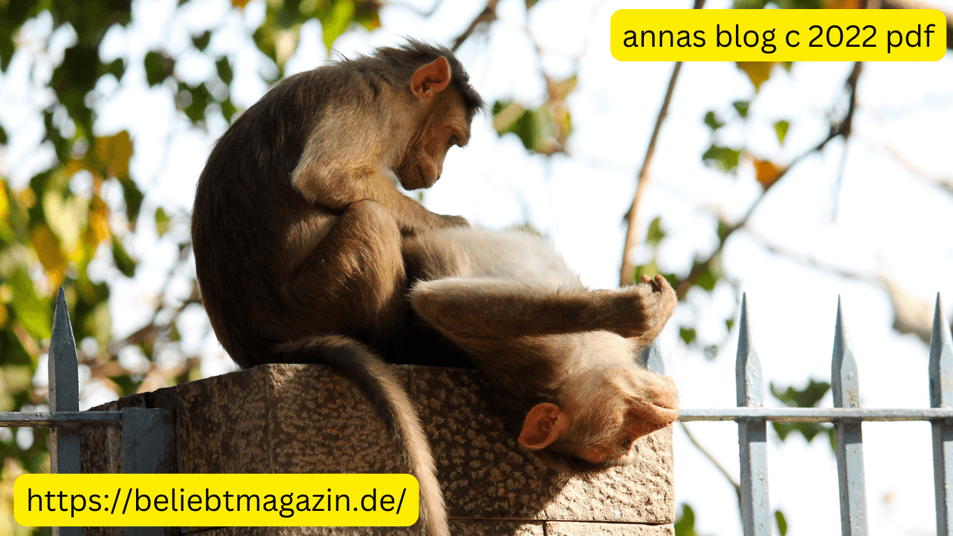 annas blog c 2022 pdf